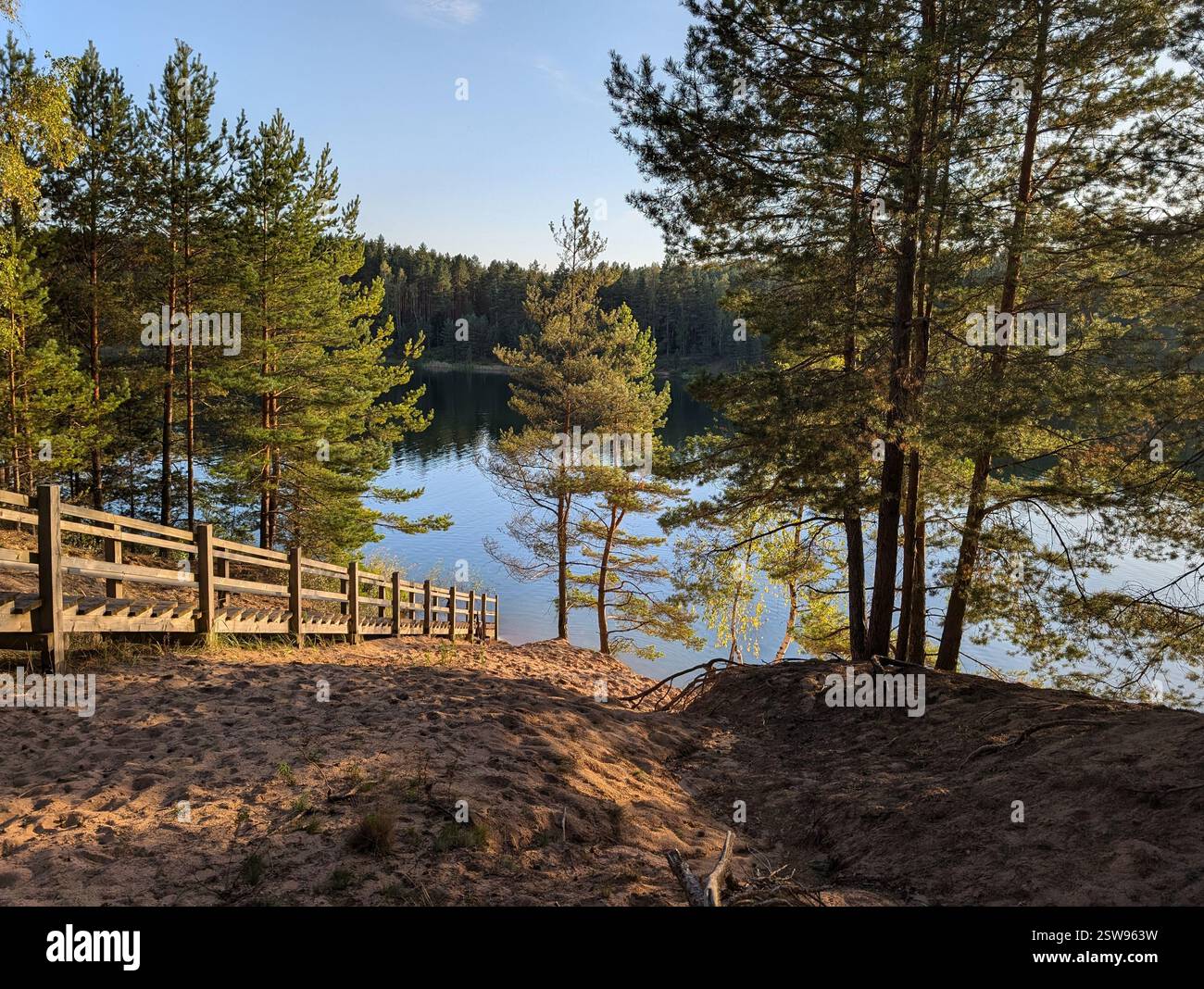 Un escalier en bois mène à un lac tranquille entouré d'une forêt de pins luxuriante dans le parc naturel Blue Hills, en Lettonie. Une destination pittoresque célèbre pour la randonnée Banque D'Images