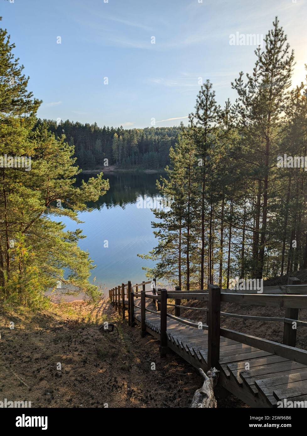 Un escalier en bois mène à un lac tranquille entouré d'une forêt de pins luxuriante dans le parc naturel Blue Hills, Ogre, Lettonie. Banque D'Images