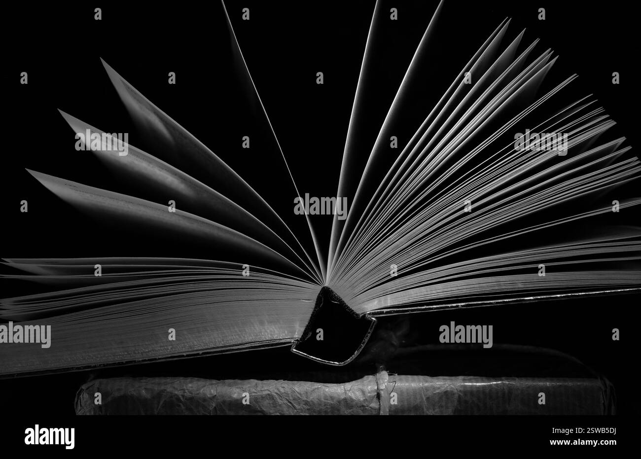 Livre ouvert, lecture, apprentissage, éducation ou concept de bureau à domicile. Image en noir et blanc, espace de copie libre. Banque D'Images