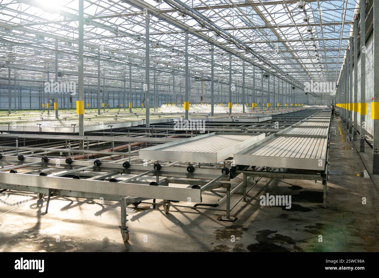 Grande construction de serre commerciale moderne produisant des légumes biologiques, de la laitue. Agro-industrie. Banque D'Images
