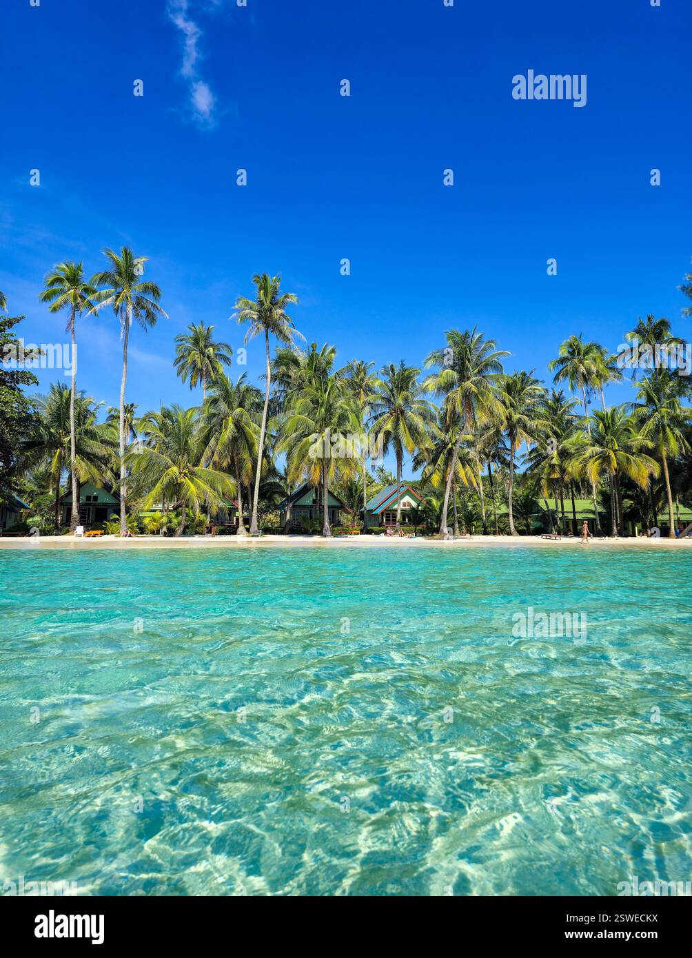 Escapade tropicale sereine sur les eaux cristallines de Koh Kood et les plages bordées de palmiers Banque D'Images
