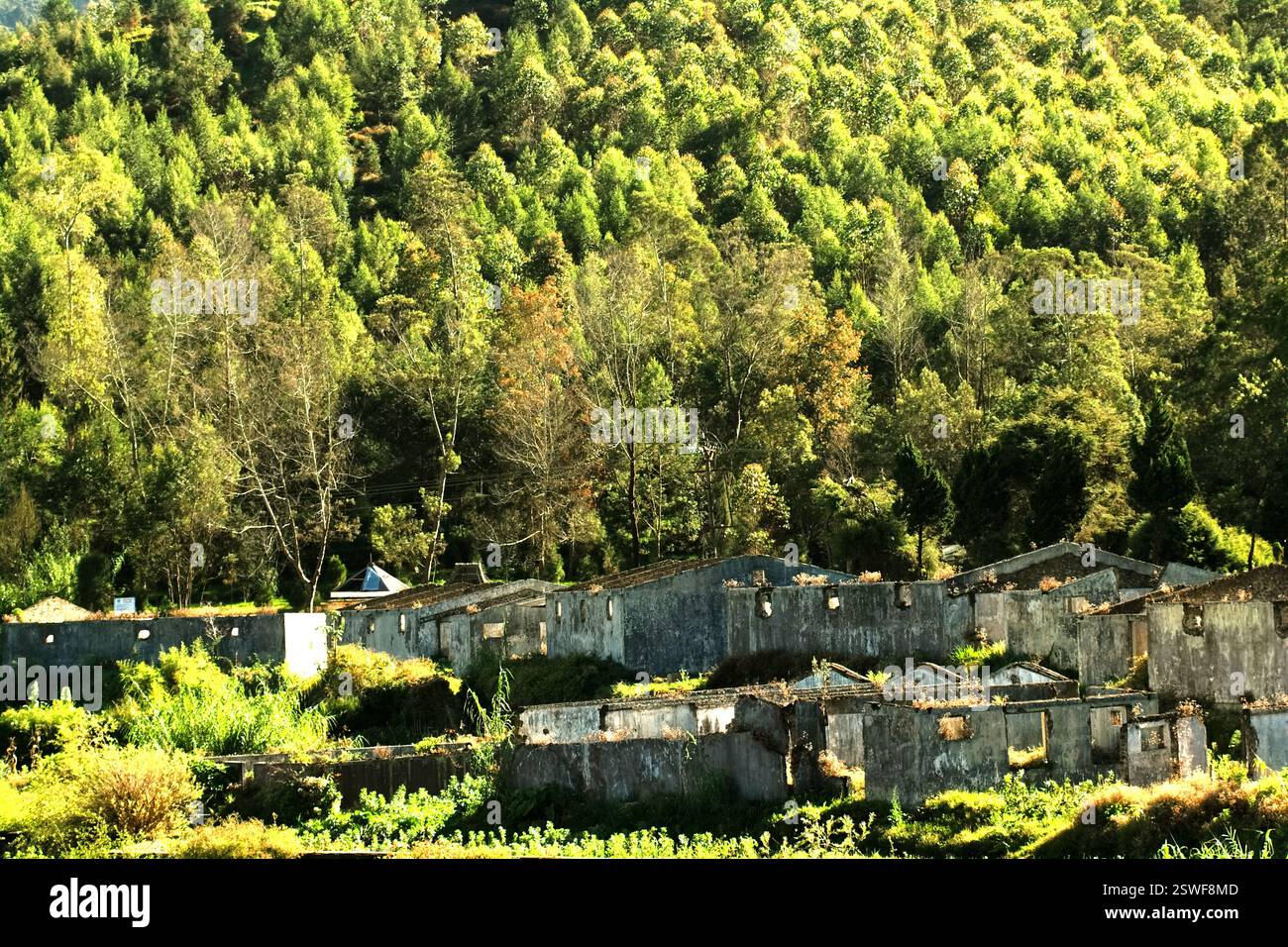 Des bâtiments abandonnés de ce qui était autrefois une installation de culture de champignons sur le plateau de Dieng, situé à Banjarnegara, dans le centre de Java, en Indonésie. Banque D'Images