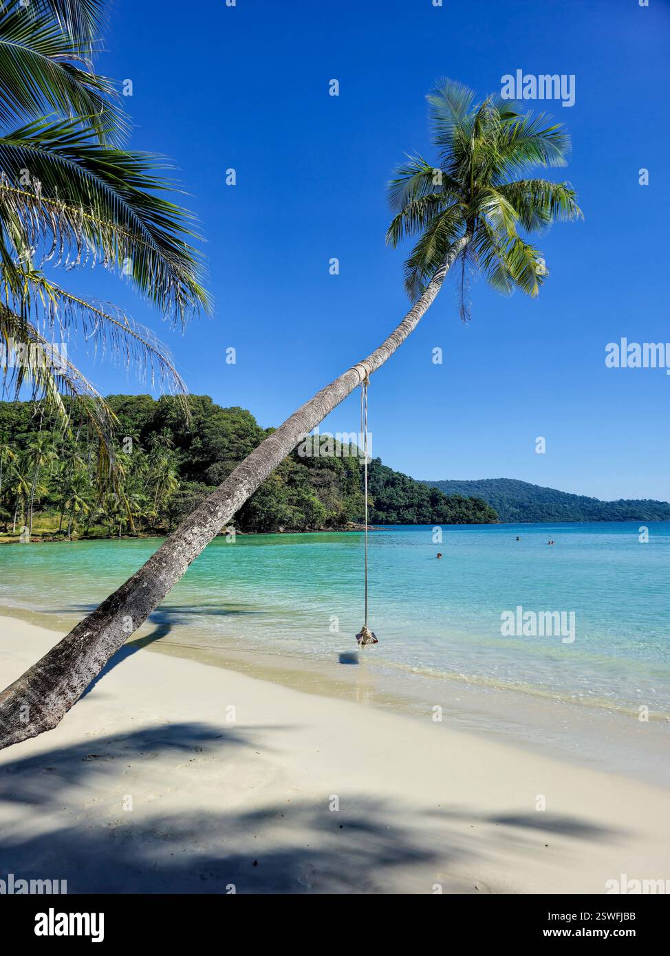 Escapade tropicale à couper le souffle sur la plage immaculée de Koh Kood sous un ciel bleu vif Banque D'Images