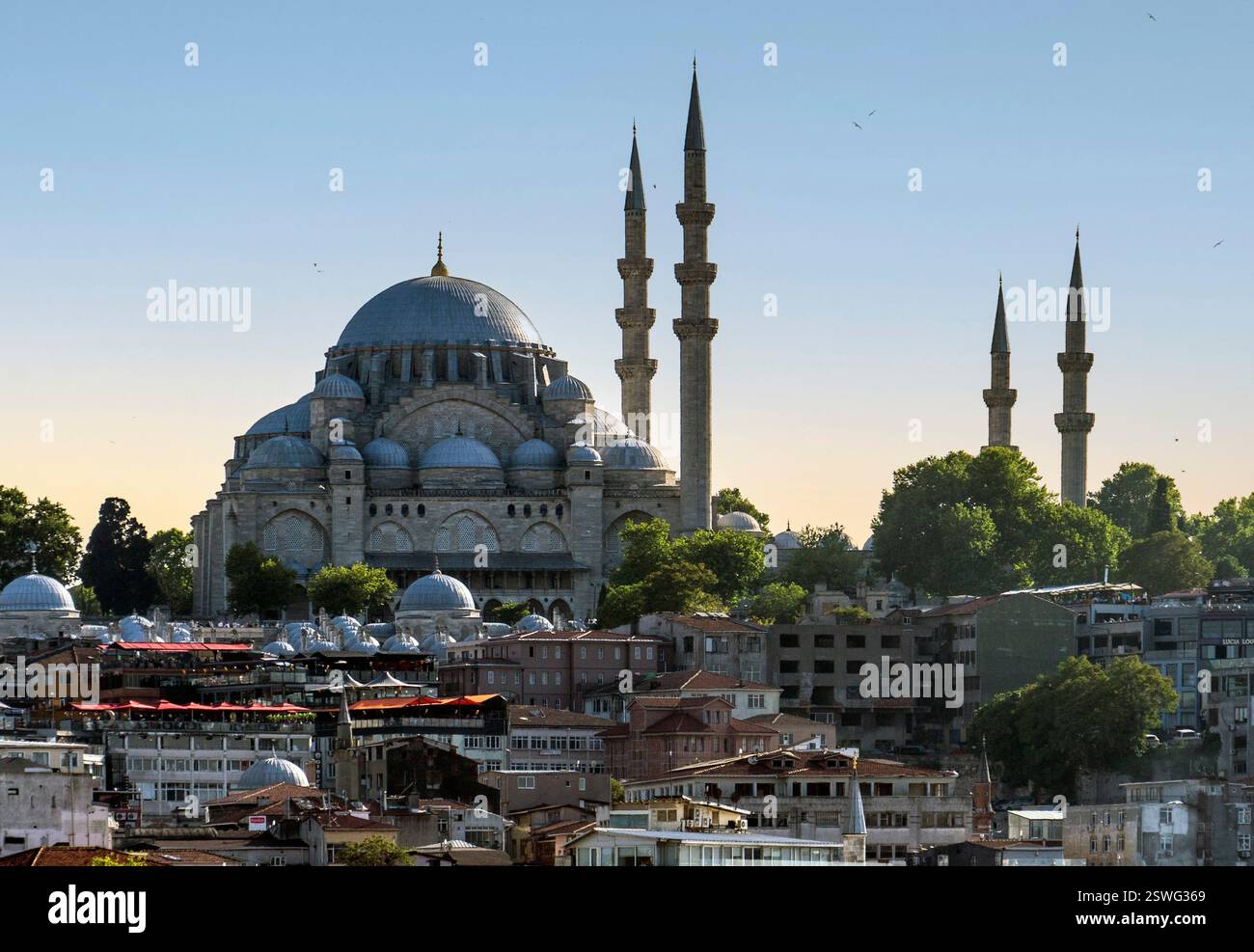 Une vue panoramique d'une mosquée historique avec plusieurs minarets, entourée d'arbres et de bâtiments traditionnels dans un cadre urbain, sous un SK bleu clair Banque D'Images