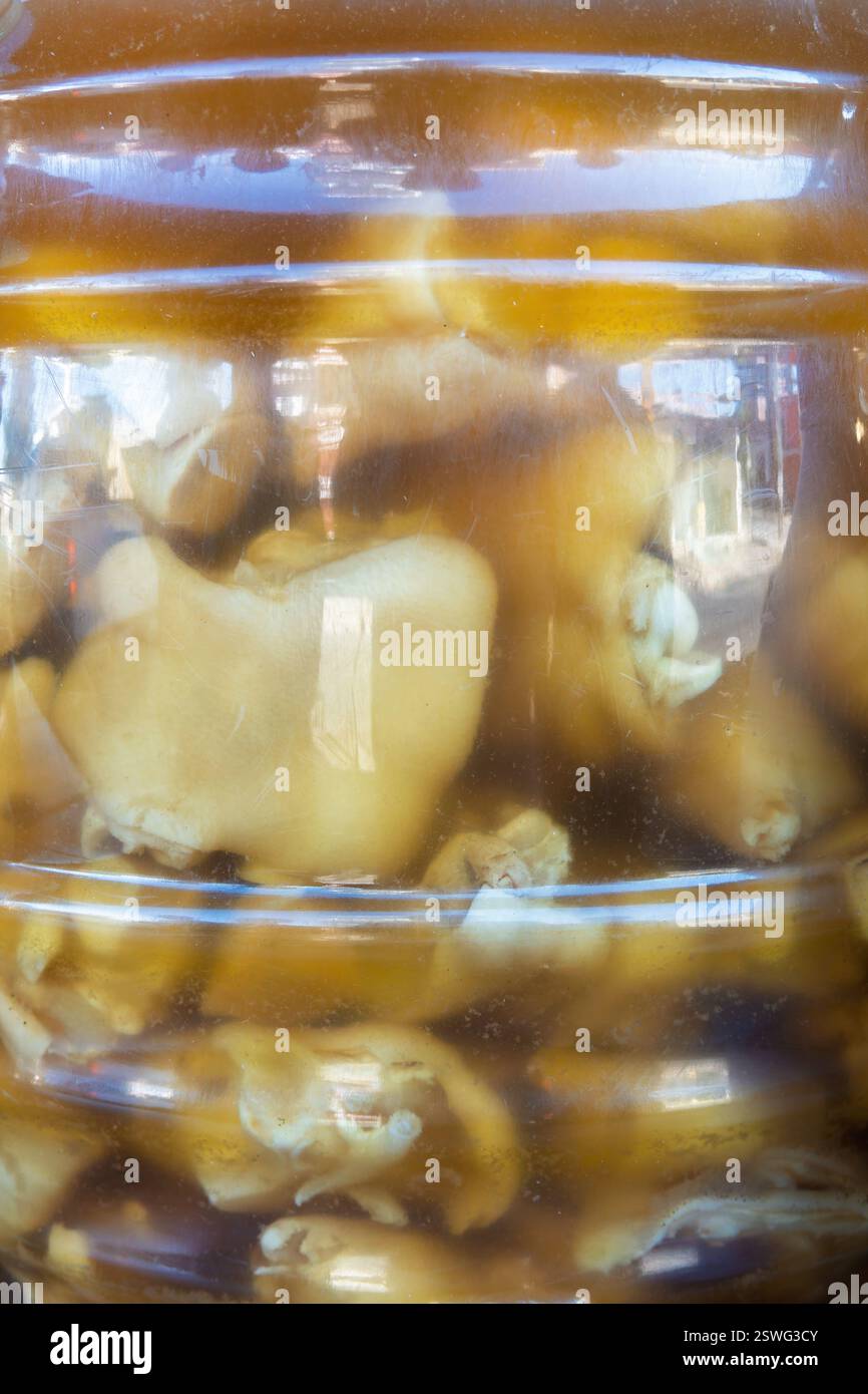 Gros plan des pieds de cochon marinés trempant dans un grand pot transparent. Cuisine de rue mexicaine traditionnelle, souvent servie avec de la salsa épicée. Capture le t unique Banque D'Images