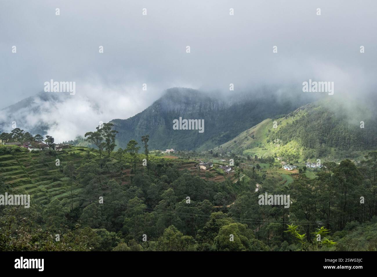 Vue sur la vallée et les montagnes depuis les hauts plateaux brumeux, Haputale, Sri Lanka Banque D'Images