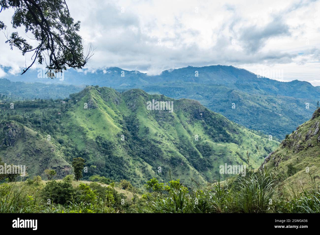 Vue de Little Adam's Peak depuis le Pekoe Trail, Ella, Sri Lanka Banque D'Images