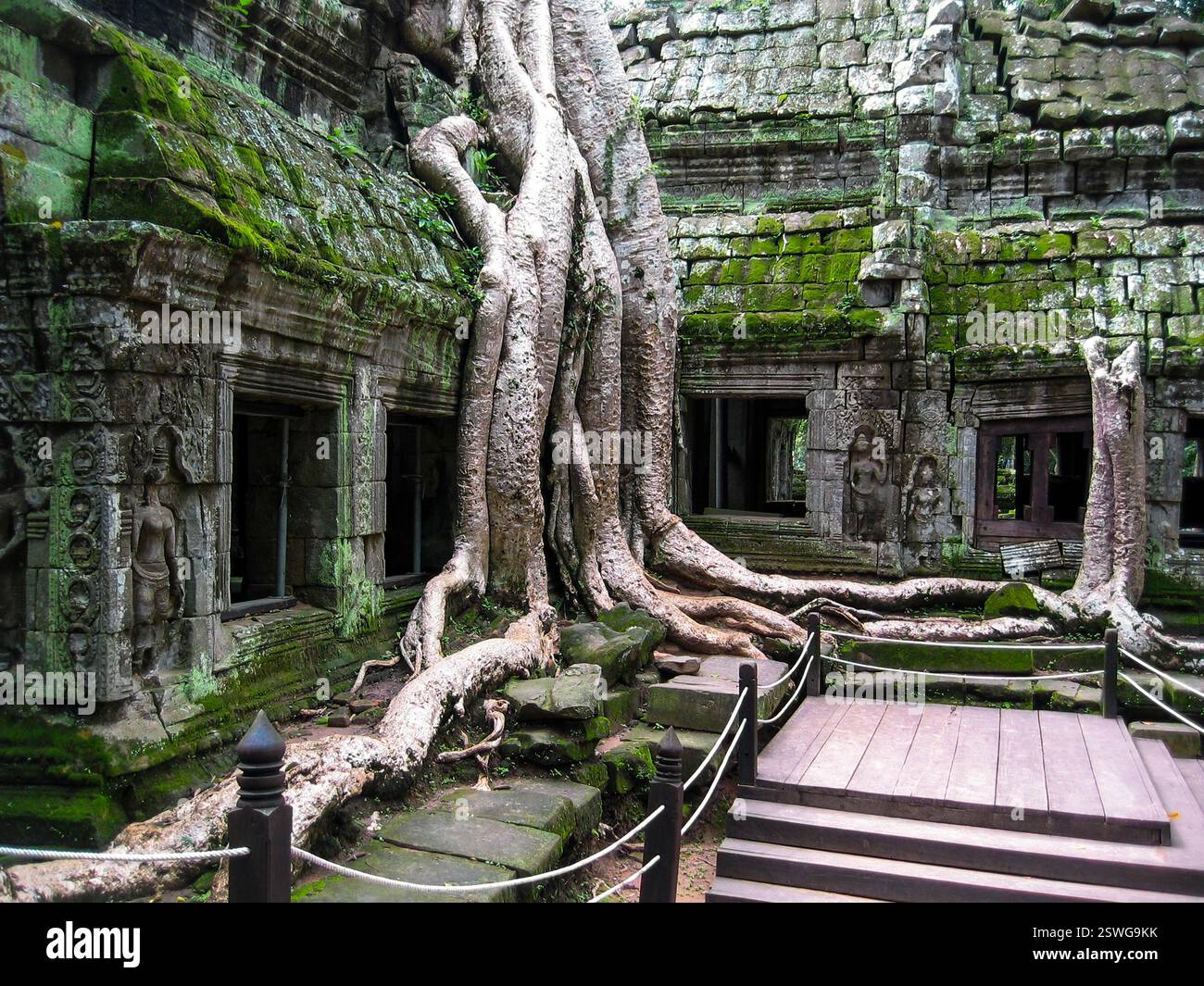 Angkor Wat Cambodge. Khmer Tempio di Ta Prohm Banque D'Images
