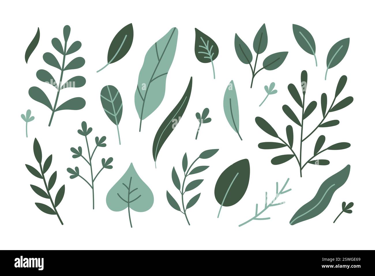 Herbes fraîches. Jolies herbes dessinées à la main, feuilles, branches. Autocollants de dessin animé vectoriel isolés sur fond blanc. Collection d'herbes. Herbes printanières, feuilles. Illustration de Vecteur