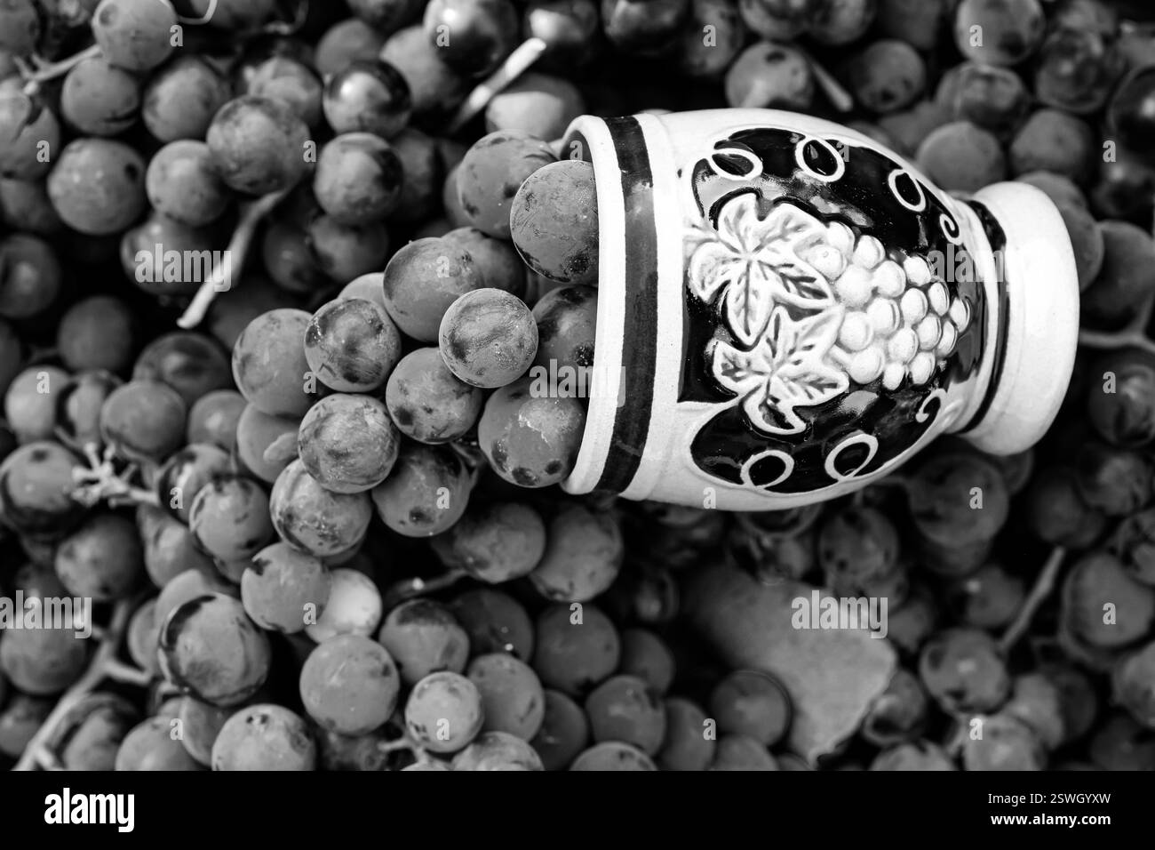 La nature morte avec des raisins et une tasse en céramique pour le vin. Raisins pour la fabrication de vin rouge. Vinification. Technologie de production de vin. Banque D'Images