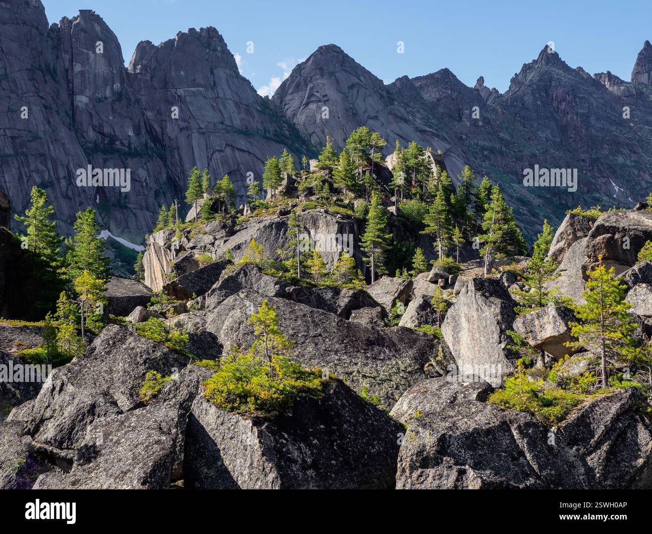 Énormes rochers de granit. Forêt de nature sauvage fond lumineux. Banque D'Images