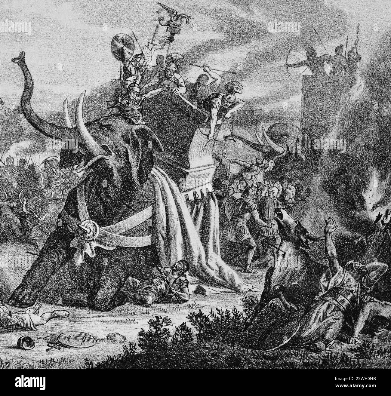 Le général carthaginois Hamilcar Barca utilise des éléphants de guerre ...