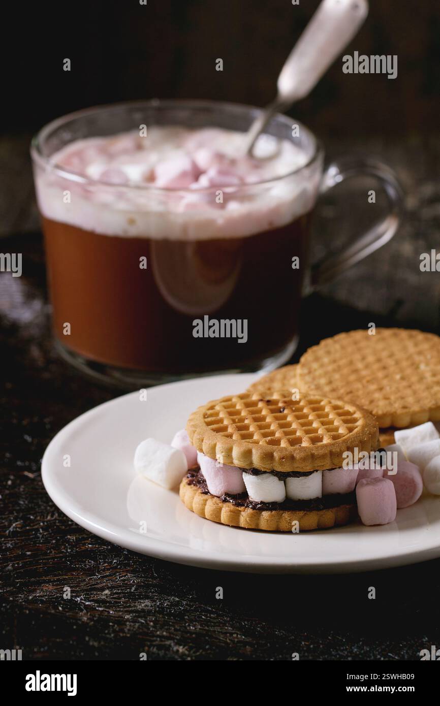 Les cookies avec des guimauves Banque D'Images