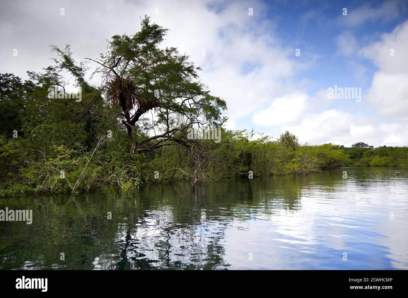 La splendide eau du cratère Azul près de Flores, Guatemala Banque D'Images