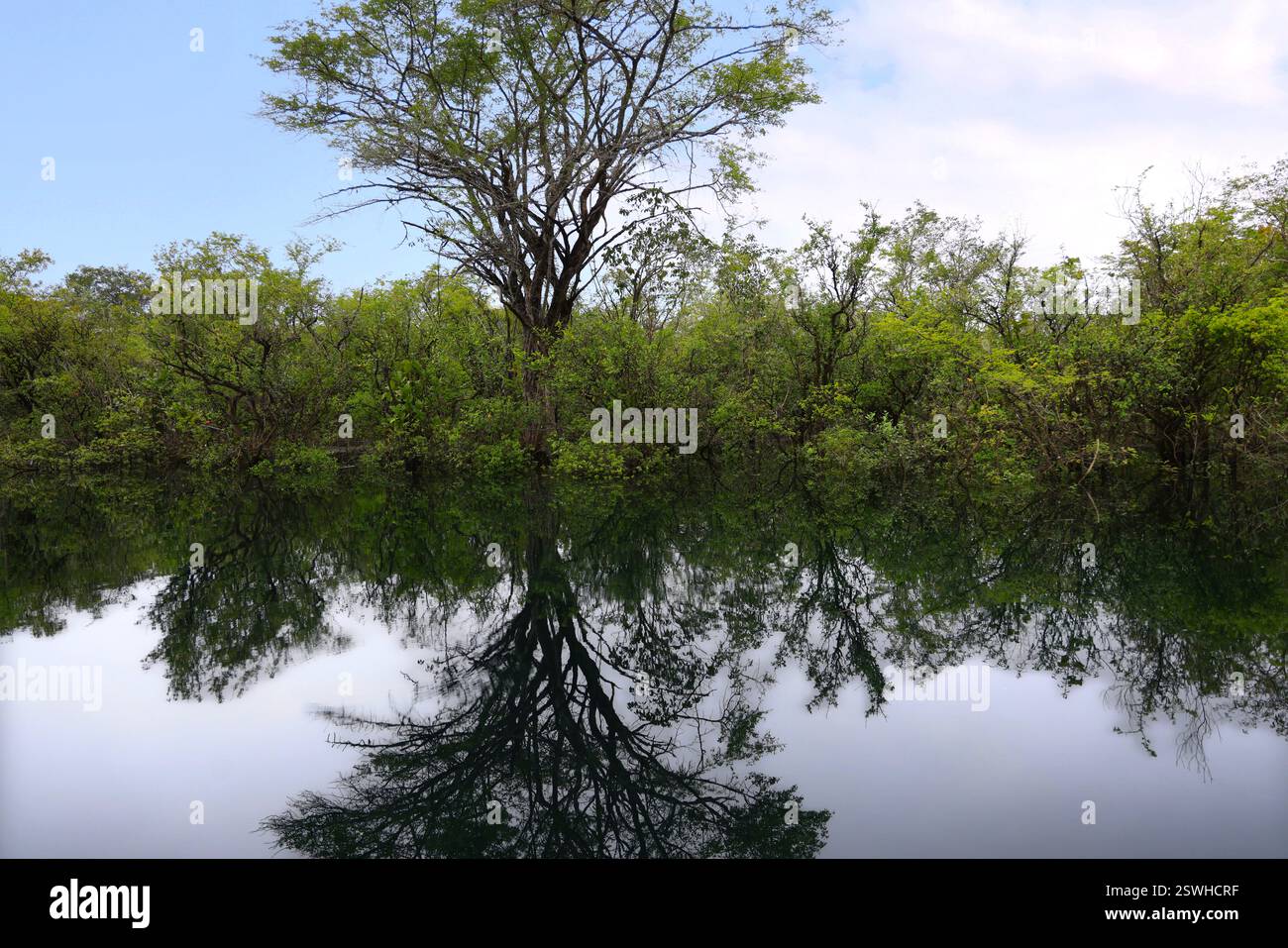 La splendide eau du cratère Azul près de Flores, Guatemala Banque D'Images