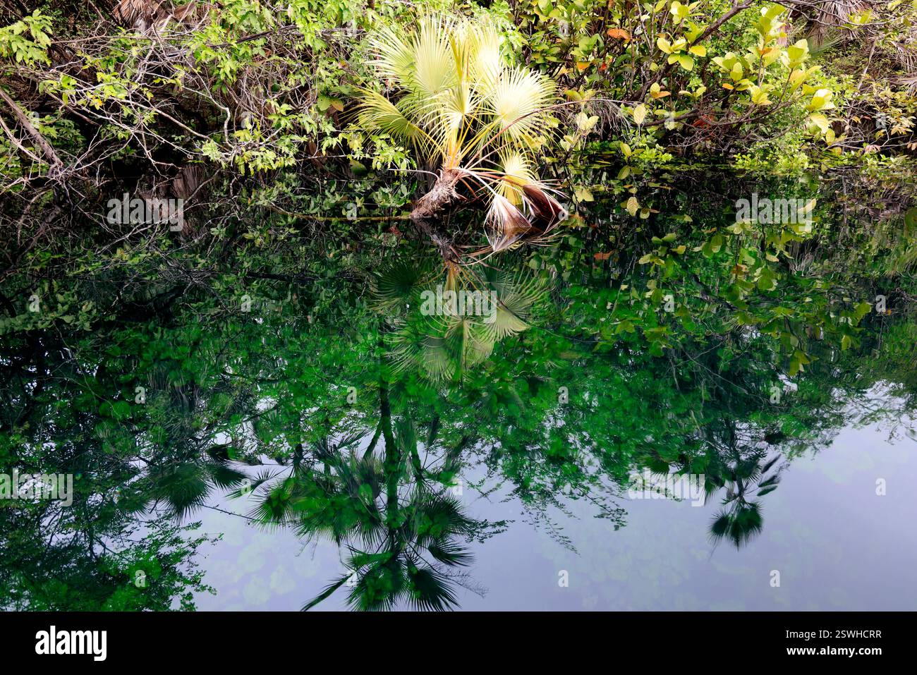 La splendide eau du cratère Azul près de Flores, Guatemala Banque D'Images