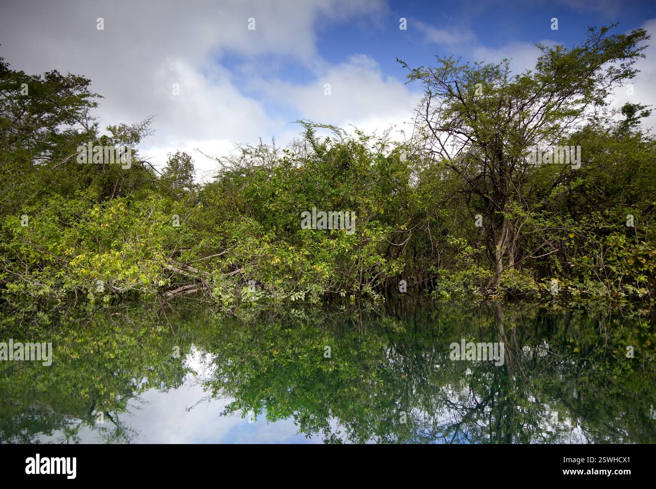 La splendide eau du cratère Azul près de Flores, Guatemala Banque D'Images