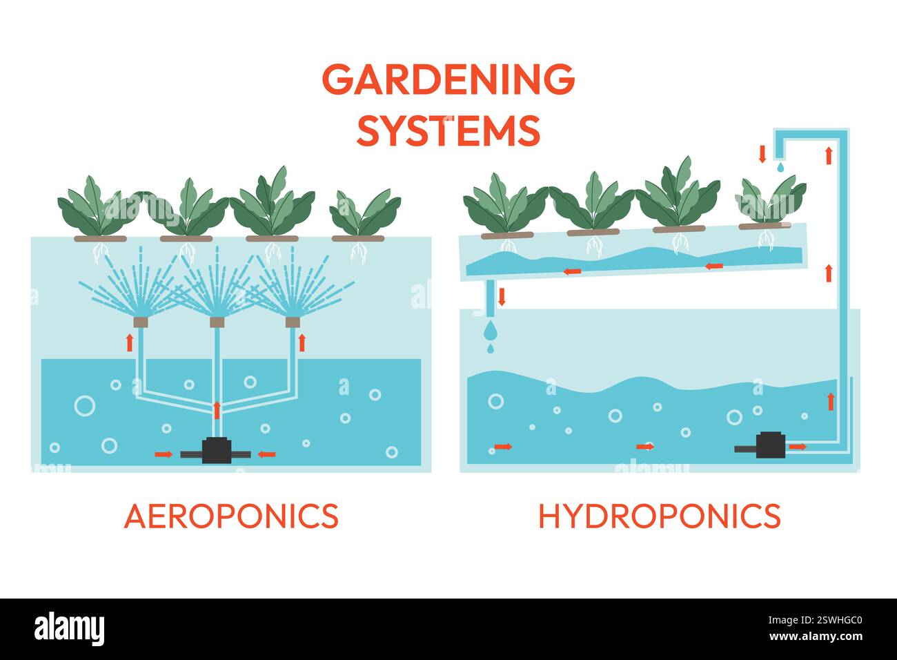 Comment fonctionnent les systèmes aquaponiques et aéroponiques. Culture de plantes dans la serre. Aquaculture en laboratoire. Concept de ferme intelligente. Illustration de Vecteur