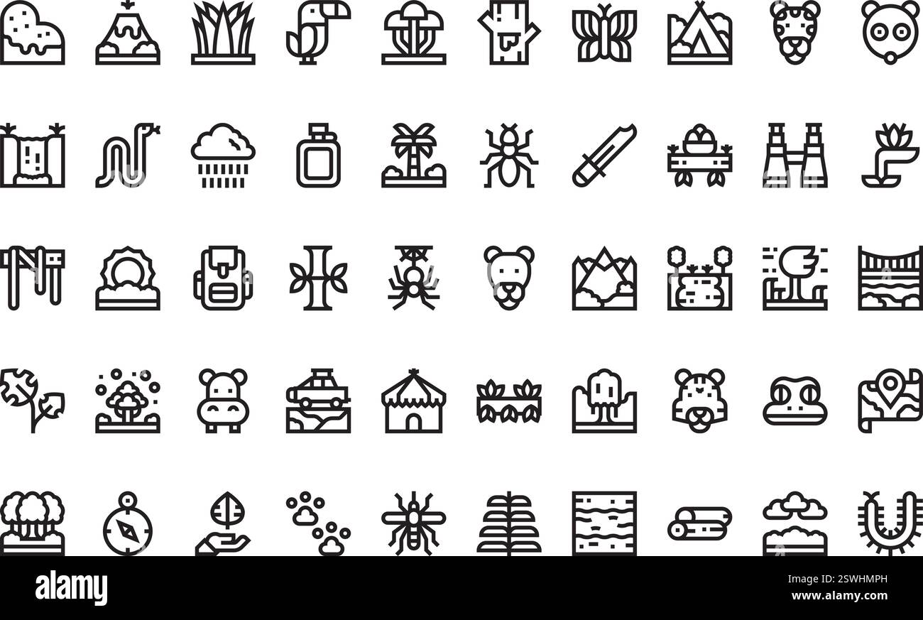 Icônes de forêt tropicale Collection d'icônes vectorielles de haute qualité avec un trait modifiable. Idéal pour les projets professionnels et créatifs. Illustration de Vecteur