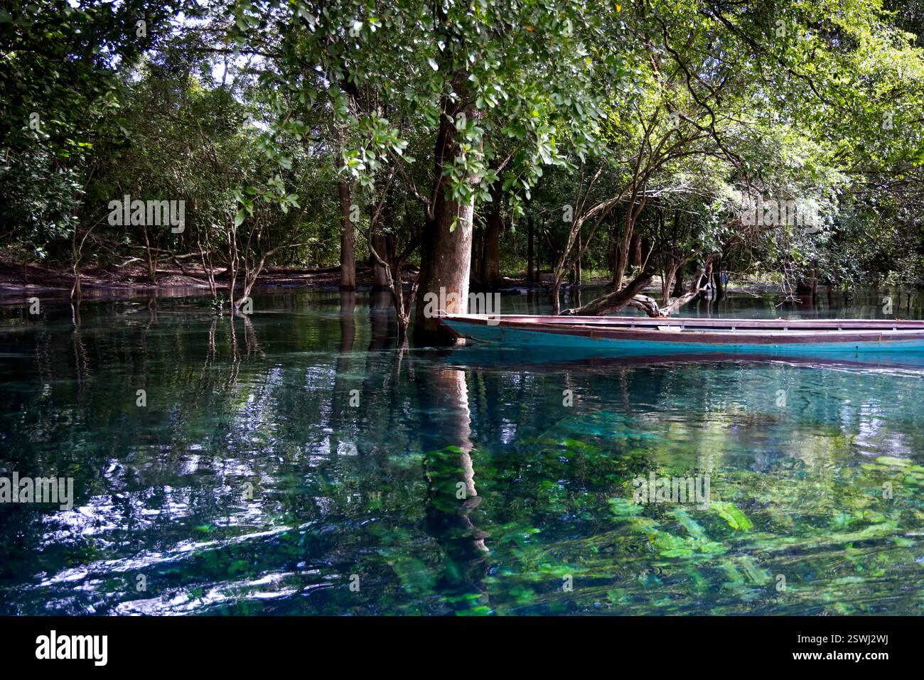 La splendide eau du cratère Azul près de Flores, Guatemala Banque D'Images