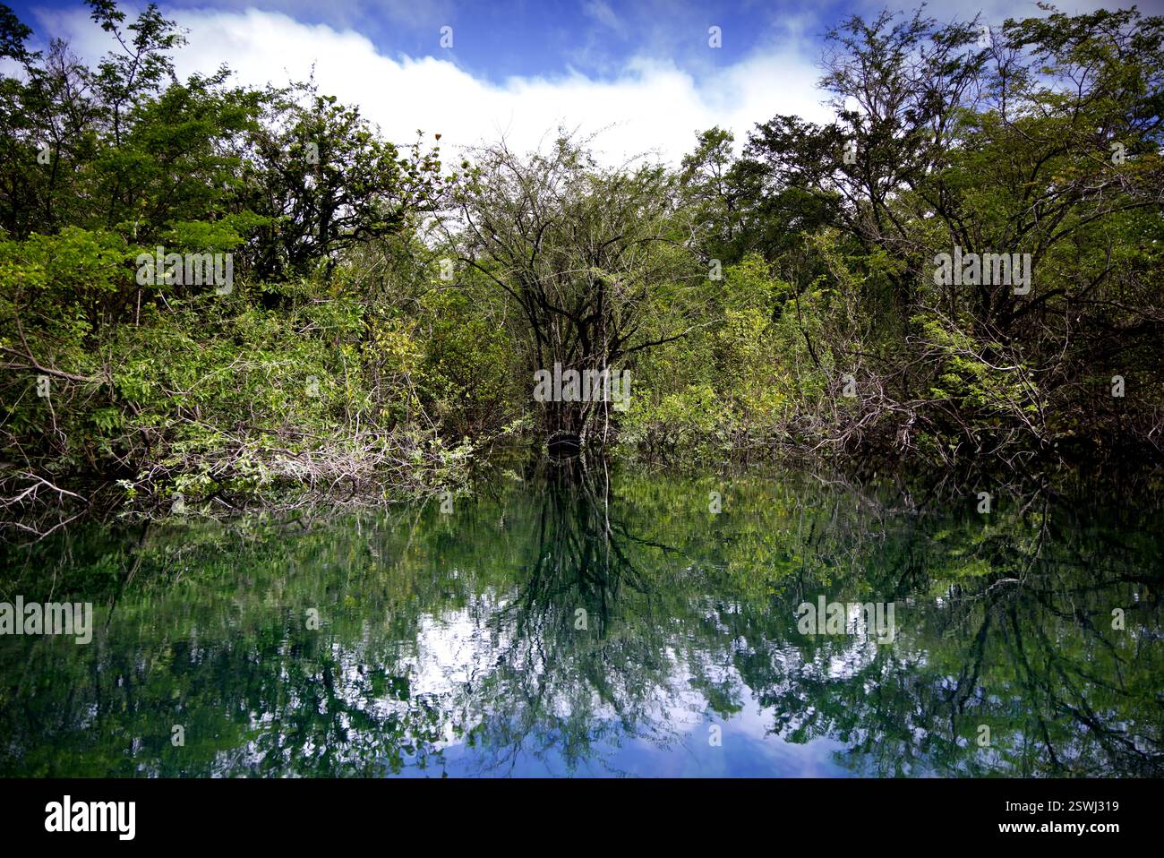La splendide eau du cratère Azul près de Flores, Guatemala Banque D'Images