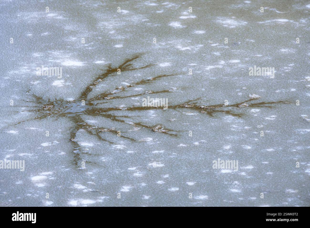 Image abstraite d'une fissure dans la couverture de glace d'un lac boueux Banque D'Images