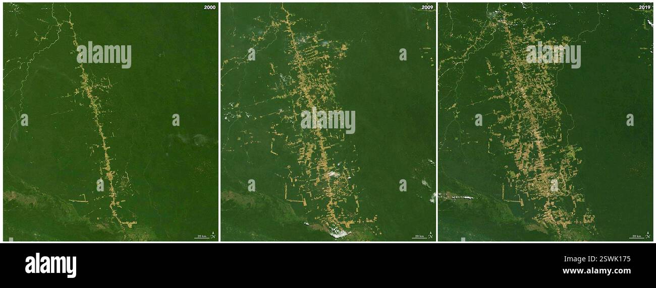 Séquence d'images Landsat en couleurs naturelles mettant en évidence la déforestation survenant entre 2000-2019 à para, Brésil. Visible dans cette vue est la route BR-163, qui relie les régions agricoles dans la forêt amazonienne du sud avec un port sur le fleuve Amazone. Banque D'Images