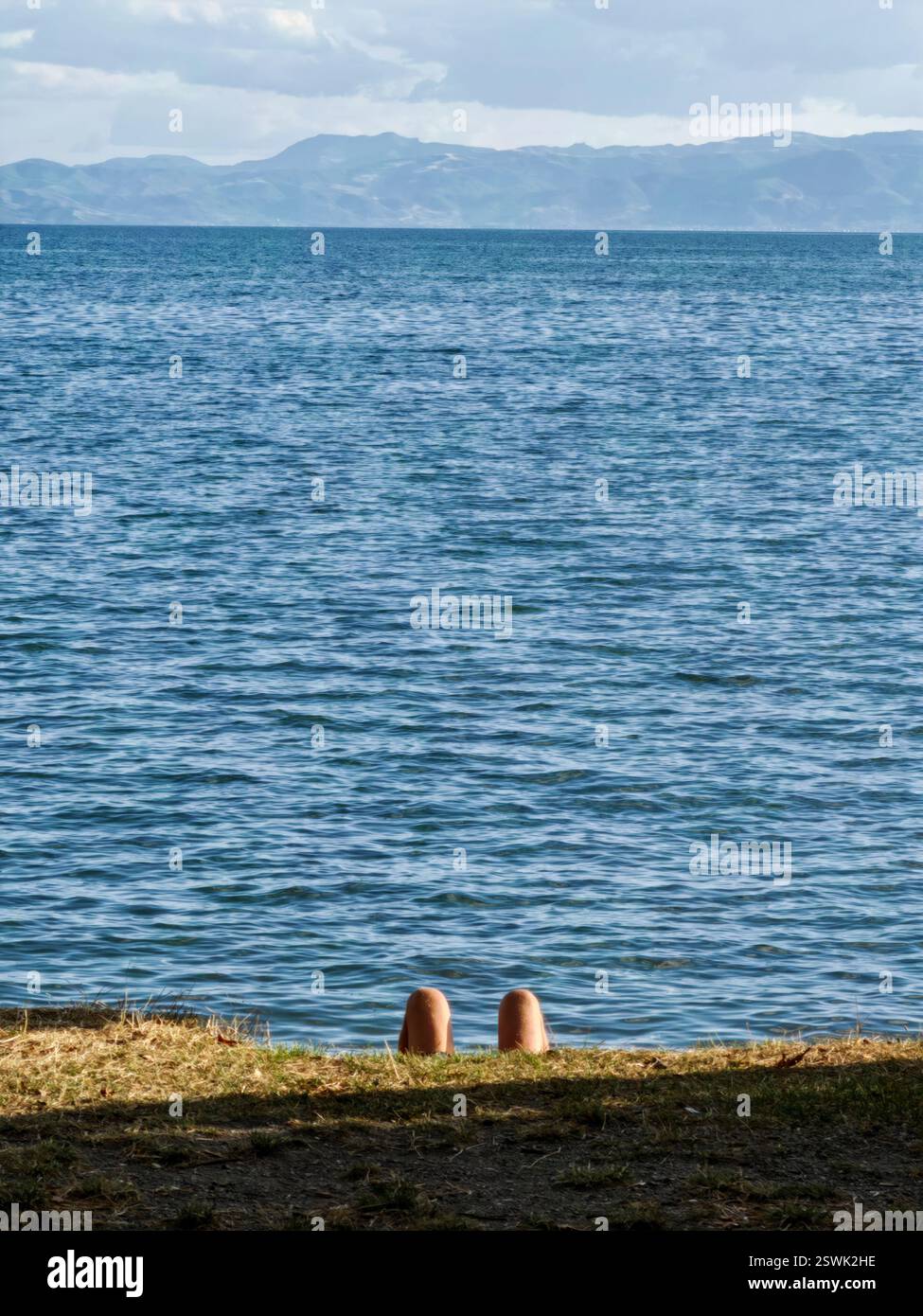 Se reposer au bord du lac. Jour d'été. Banque D'Images