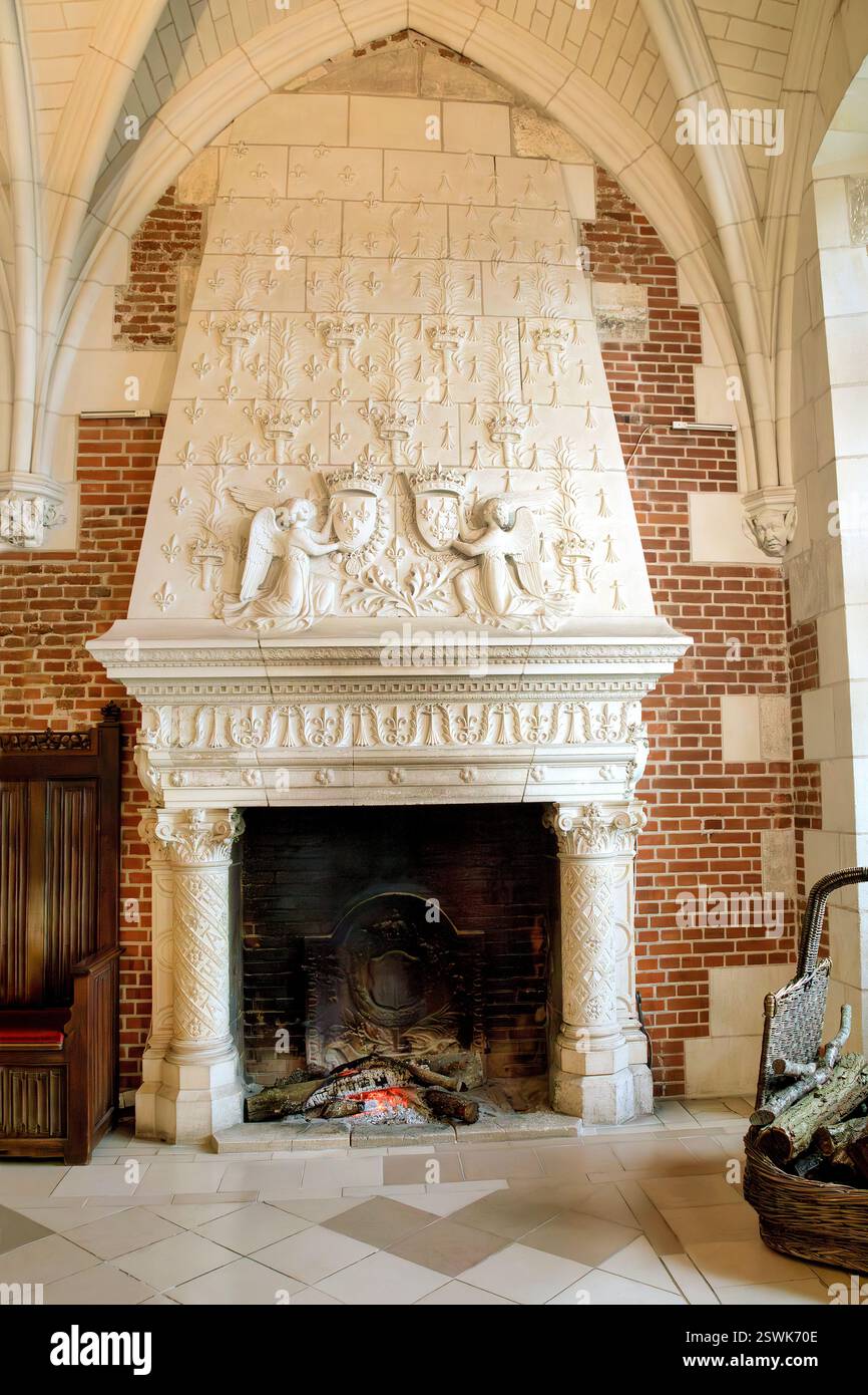 La cheminée de la chambre de Counsil à l'intérieur du château d'Amboise, France Banque D'Images