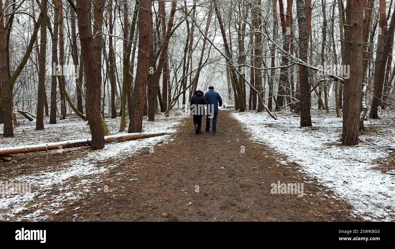 Couple mûr allant sur le chemin enneigé à la forêt de pins d'hiver. Mari senior et femme marchant à travers le sentier dans la forêt de conifères. Ancienne paire de Banque D'Images