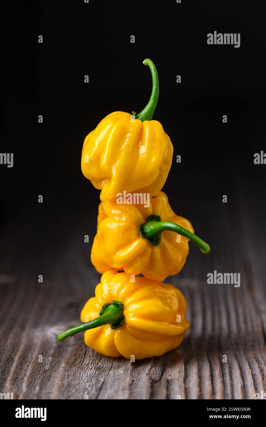 Trois poivrons habanero jaunes mûrs (capsicum chinense) sur une table en bois. Poivrons mexicains très chauds sur la table en bois rustique de près Banque D'Images