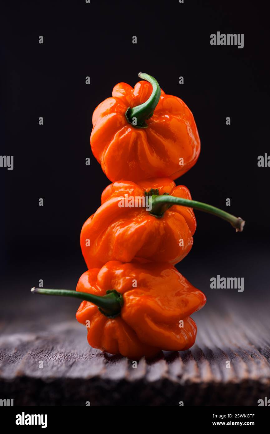 Trois poivrons habanero orange mûrs (capsicum chinense) sur une table en bois. Poivrons mexicains très chauds sur la table en bois rustique de près Banque D'Images
