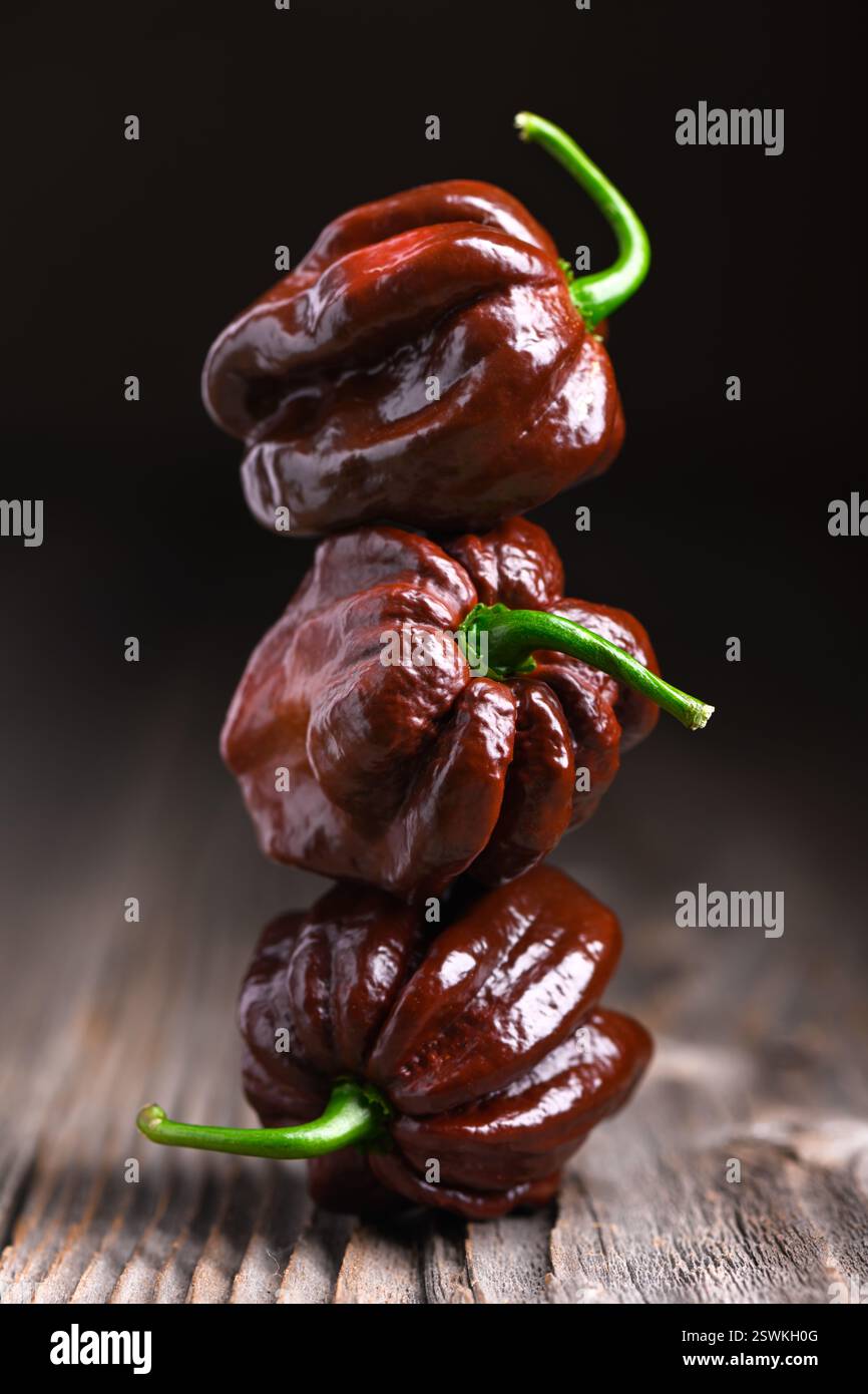Trois poivrons habanero au chocolat mûrs (capsicum chinense) sur une table en bois. Poivrons mexicains très chauds sur la table en bois rustique de près Banque D'Images