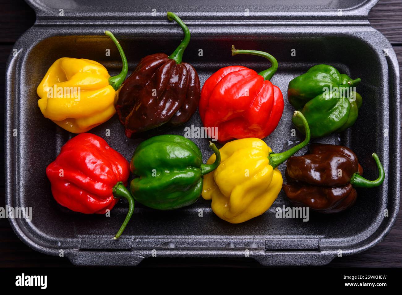 Poivrons habanero multicolores affinés (capsicum chinense) dans une boîte en plastique gros plan. Poivrons mexicains très chauds Banque D'Images