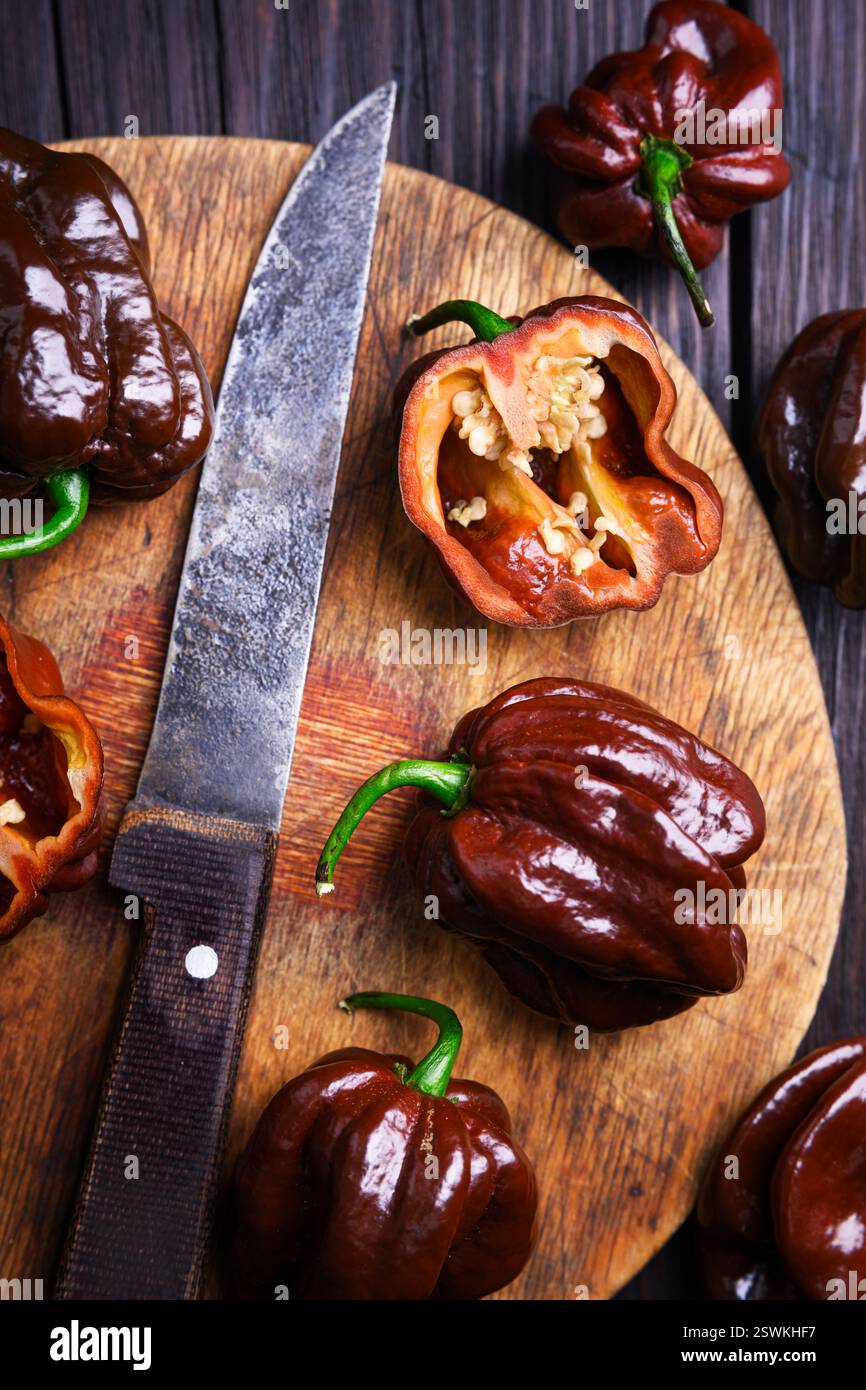 Poivrons habanero au chocolat affinés (capsicum chinense) tranchés sur planche à découper ronde en bois. Poivrons mexicains très chauds sur la table en bois rustique de près Banque D'Images