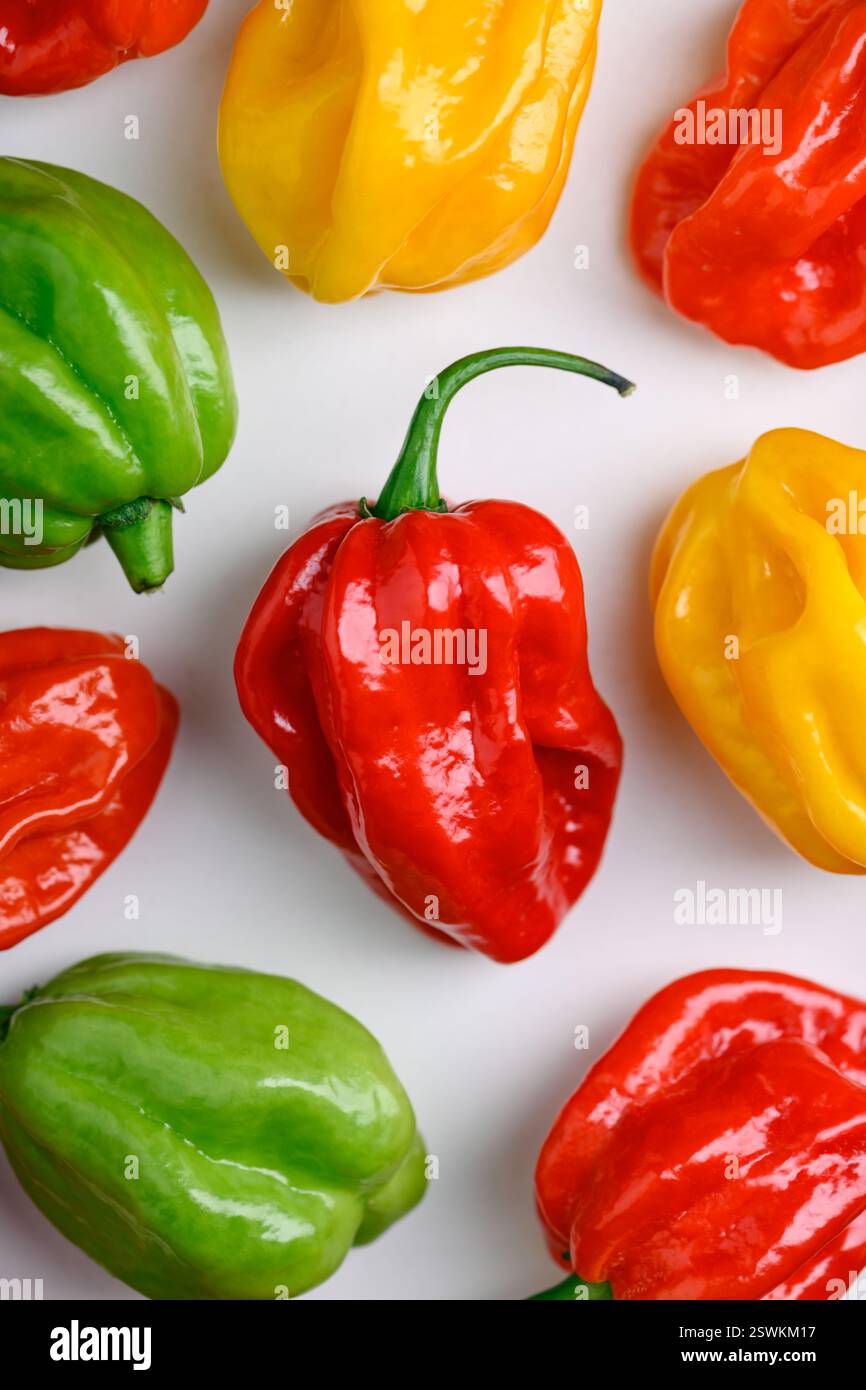 Poivrons habanero multicolores lumineux disposés sur un fond blanc. Gros plan de piments mexicains enflammés Banque D'Images
