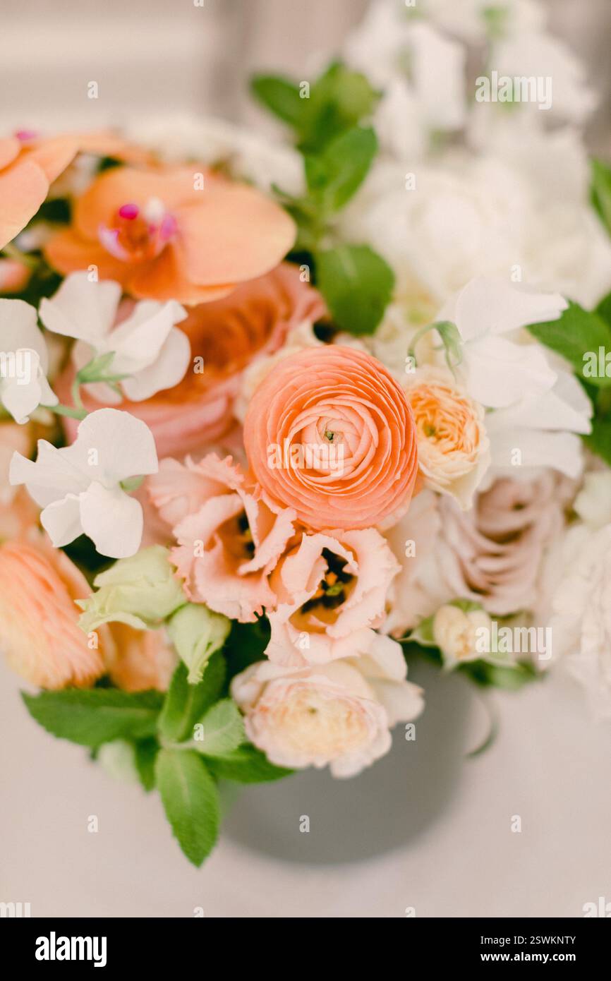 Des fleurs vibrantes dans des tons doux d'orange et de blanc créent une atmosphère printanière accueillante dans un cadre moderne. Banque D'Images