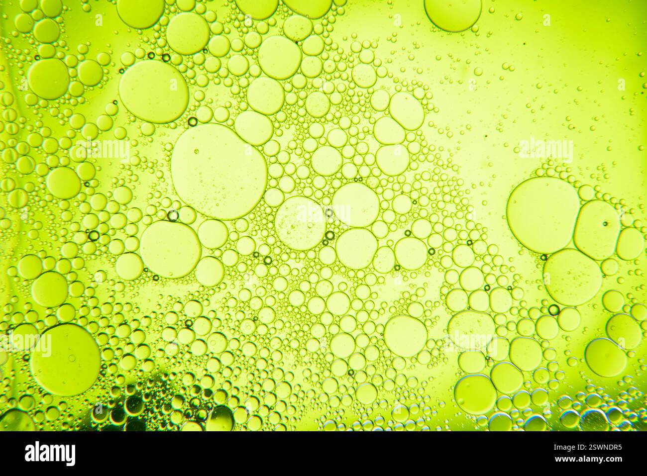 Composition abstraite avec des gouttes d'eau et d'huile sur fond vert clair Banque D'Images