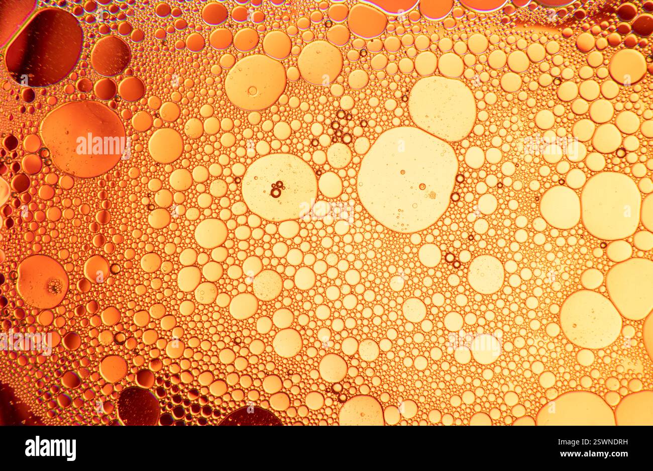 Composition abstraite avec des gouttes d'eau et d'huile sur fond jaune et orange Banque D'Images