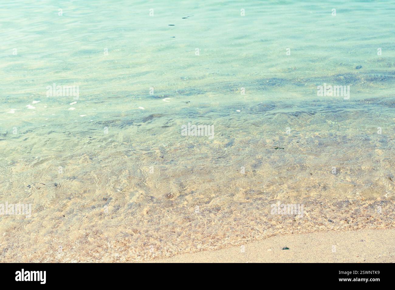 De douces vagues se glissent contre une plage de sable sereine sous un ciel dégagé dans un paradis tropical. Banque D'Images