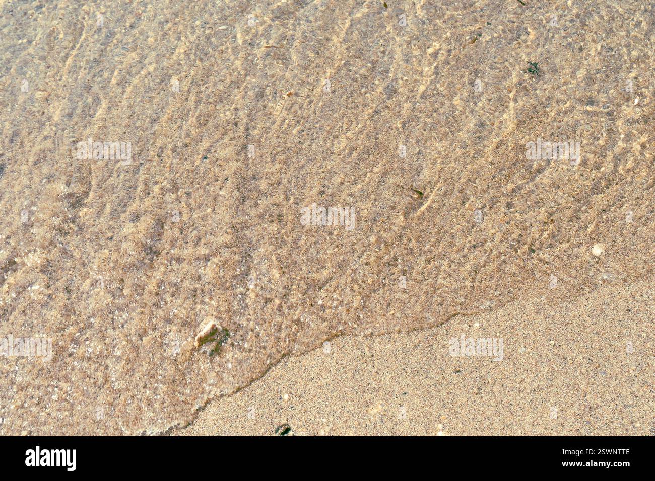 Des vagues douces tapissent doucement contre un rivage sablonneux, créant une atmosphère tropicale sereine. Banque D'Images