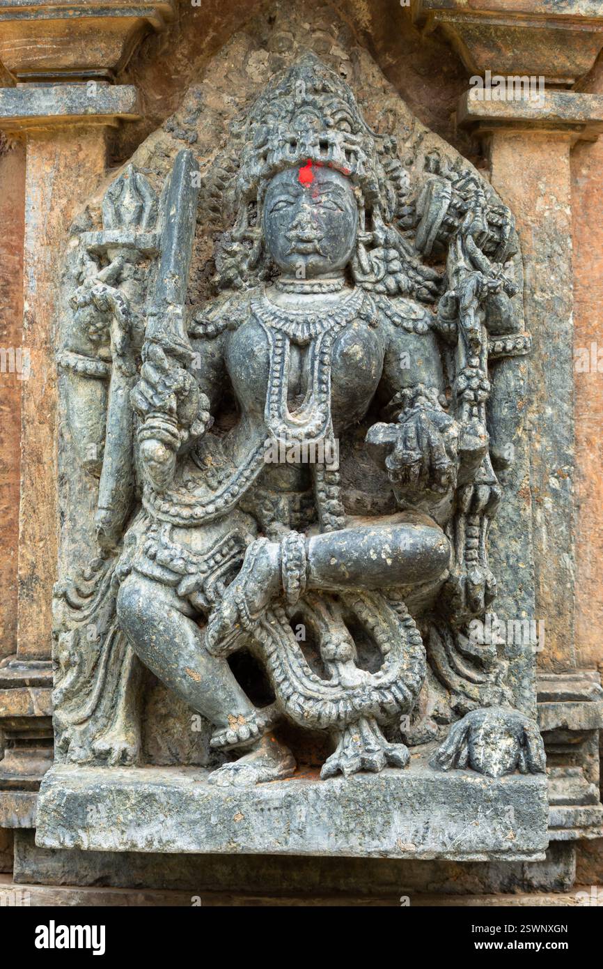 Idoles magnifiquement sculptées des divinités hindoues sur le temple Chinnakeshwa, temple Shiva du 12ème siècle, Mosale, Hassan, Karnataka, Inde. Banque D'Images
