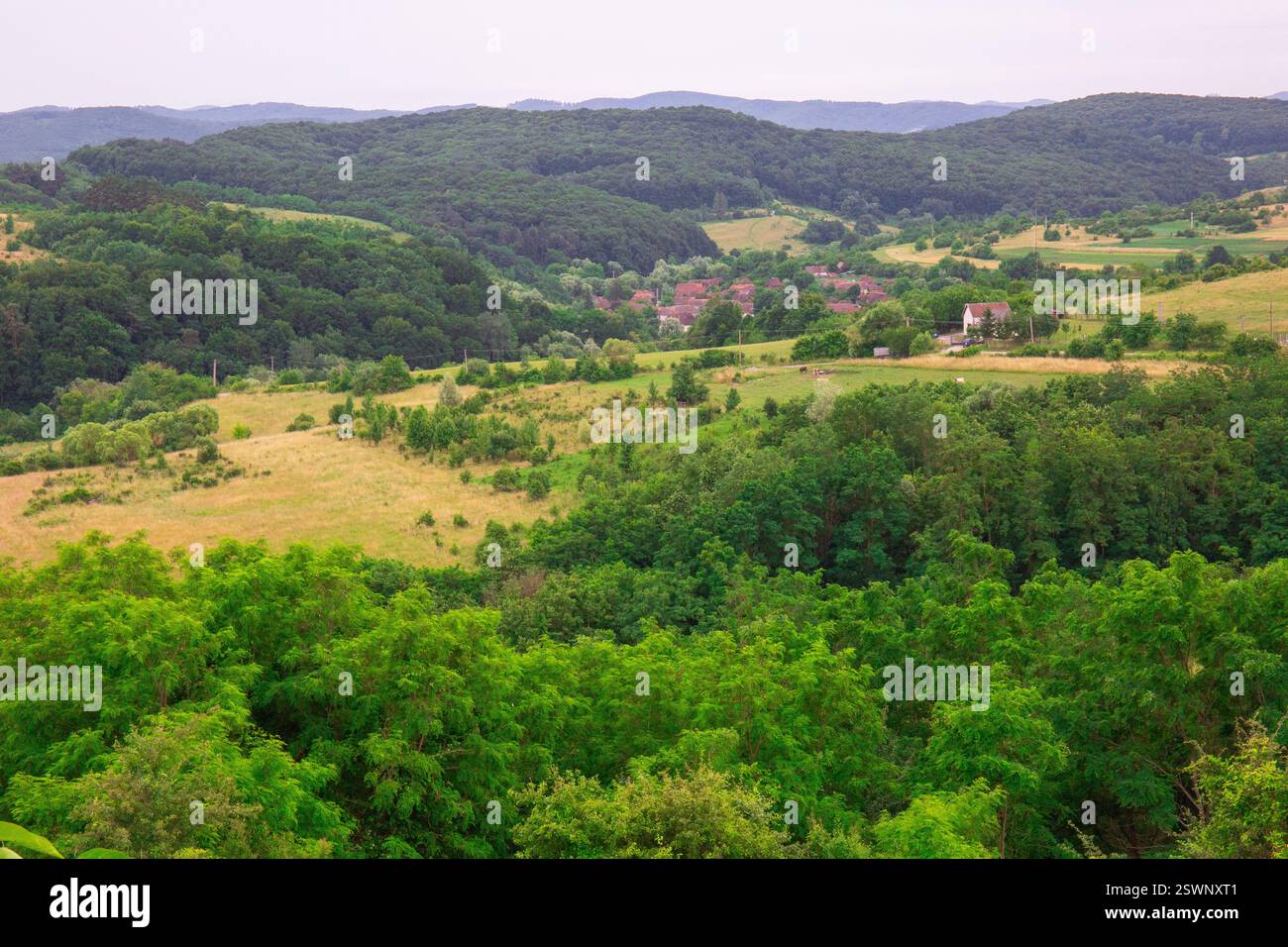 Une scène de campagne luxuriante avec des collines verdoyantes et un village pittoresque. Banque D'Images