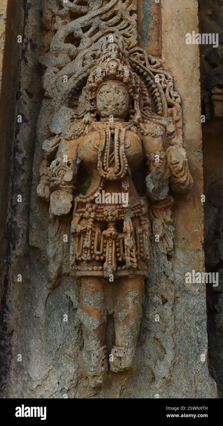 Idoles magnifiquement sculptées des divinités hindoues sur le temple Chinnakeshwa, temple Shiva du 12ème siècle, Mosale, Hassan, Karnataka, Inde. Banque D'Images