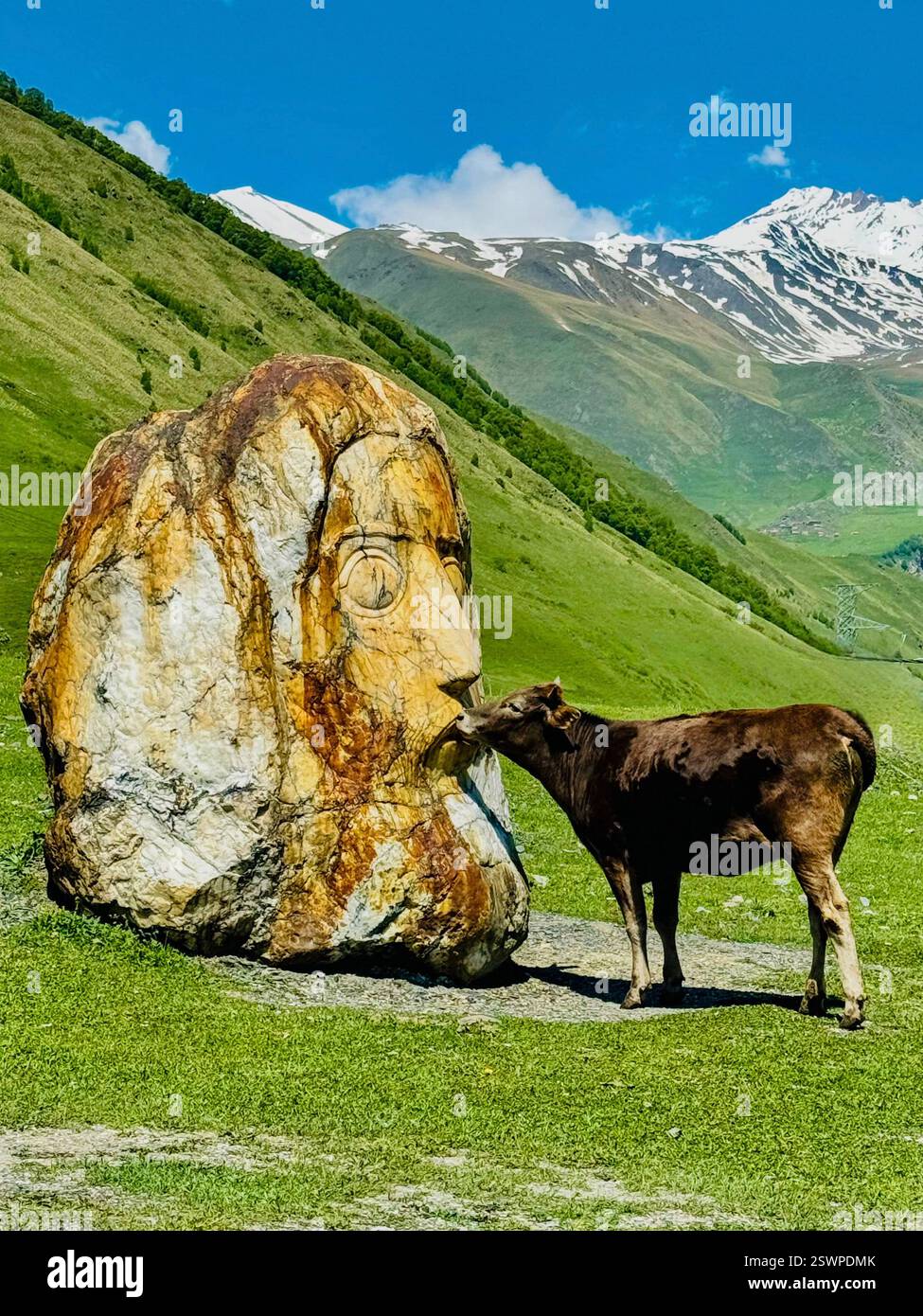Photo animalière originale. Vache embrassant une sculpture en pierre dans une galerie en plein air située dans le village de Sno près de Stepantsminda en Géorgie - Image de stock capturée avec un smartphone