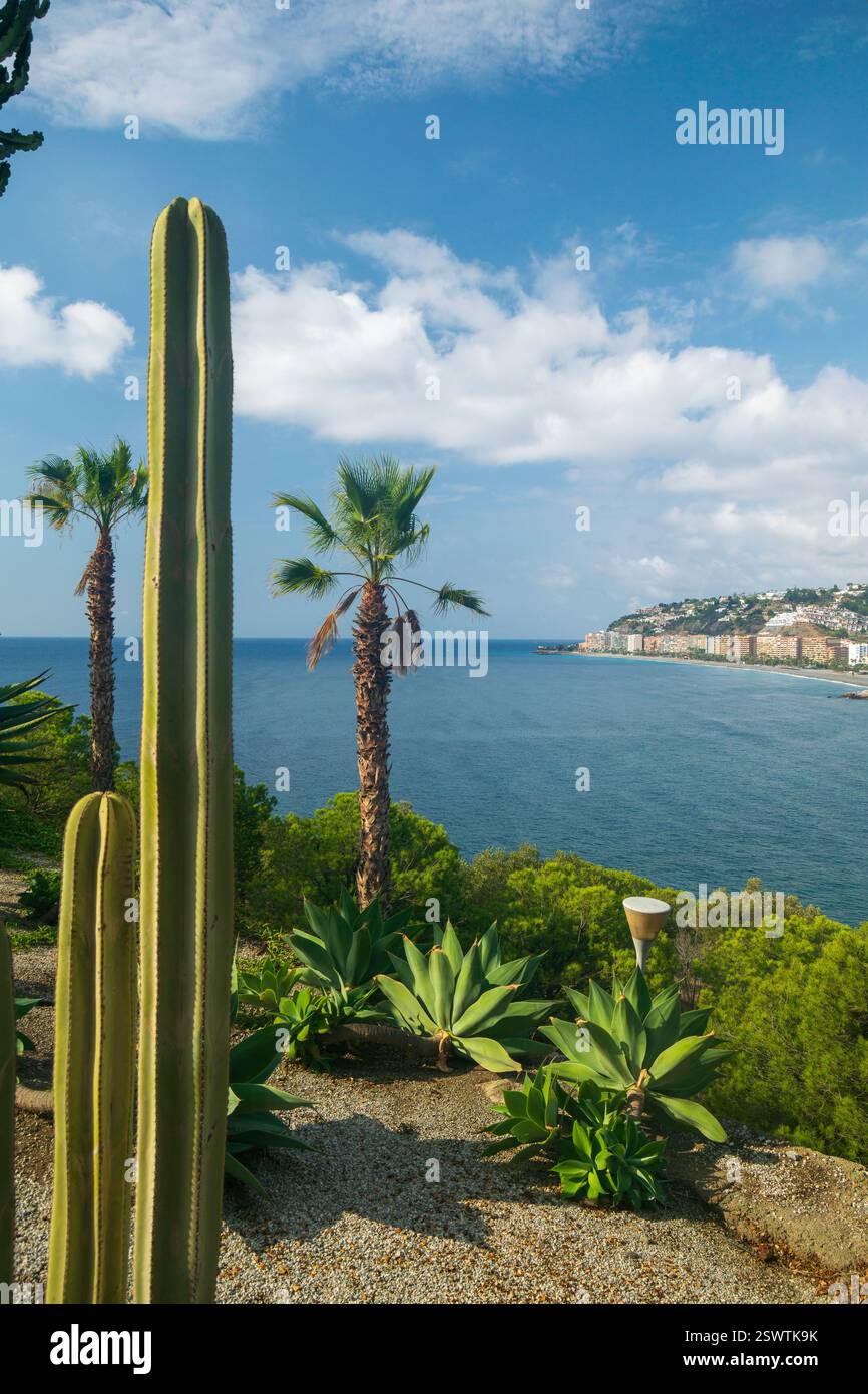 Vue en angle élevé à travers les cactus et les palmiers vers la ville d'Almunecar et l'horizon sur la mer sous le ciel bleu Banque D'Images