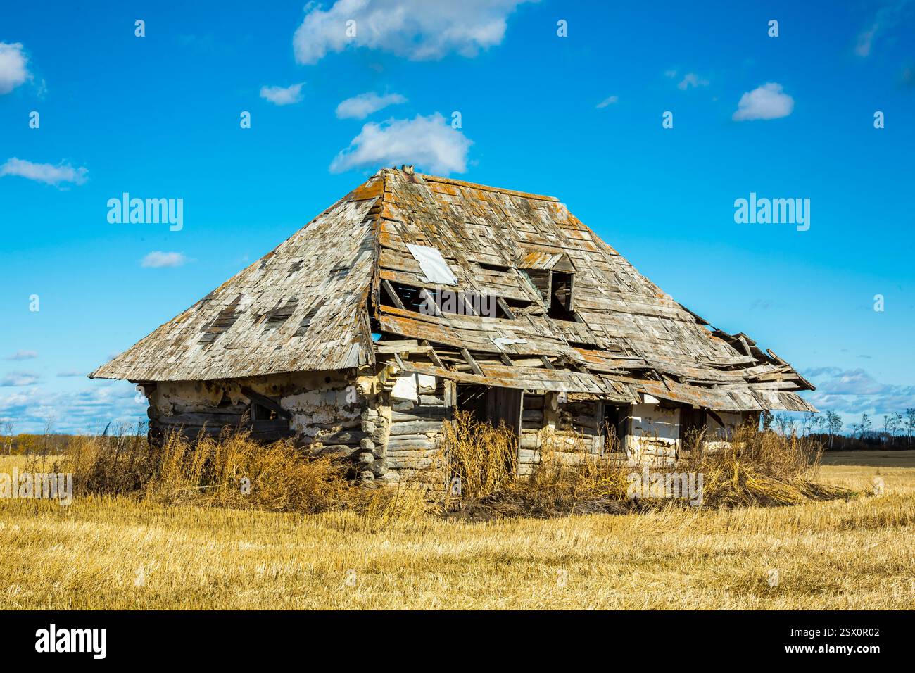 Vieille maison délabrée avec un toit qui manque plusieurs bardeaux. La maison est entourée d'un champ de hautes herbes Banque D'Images