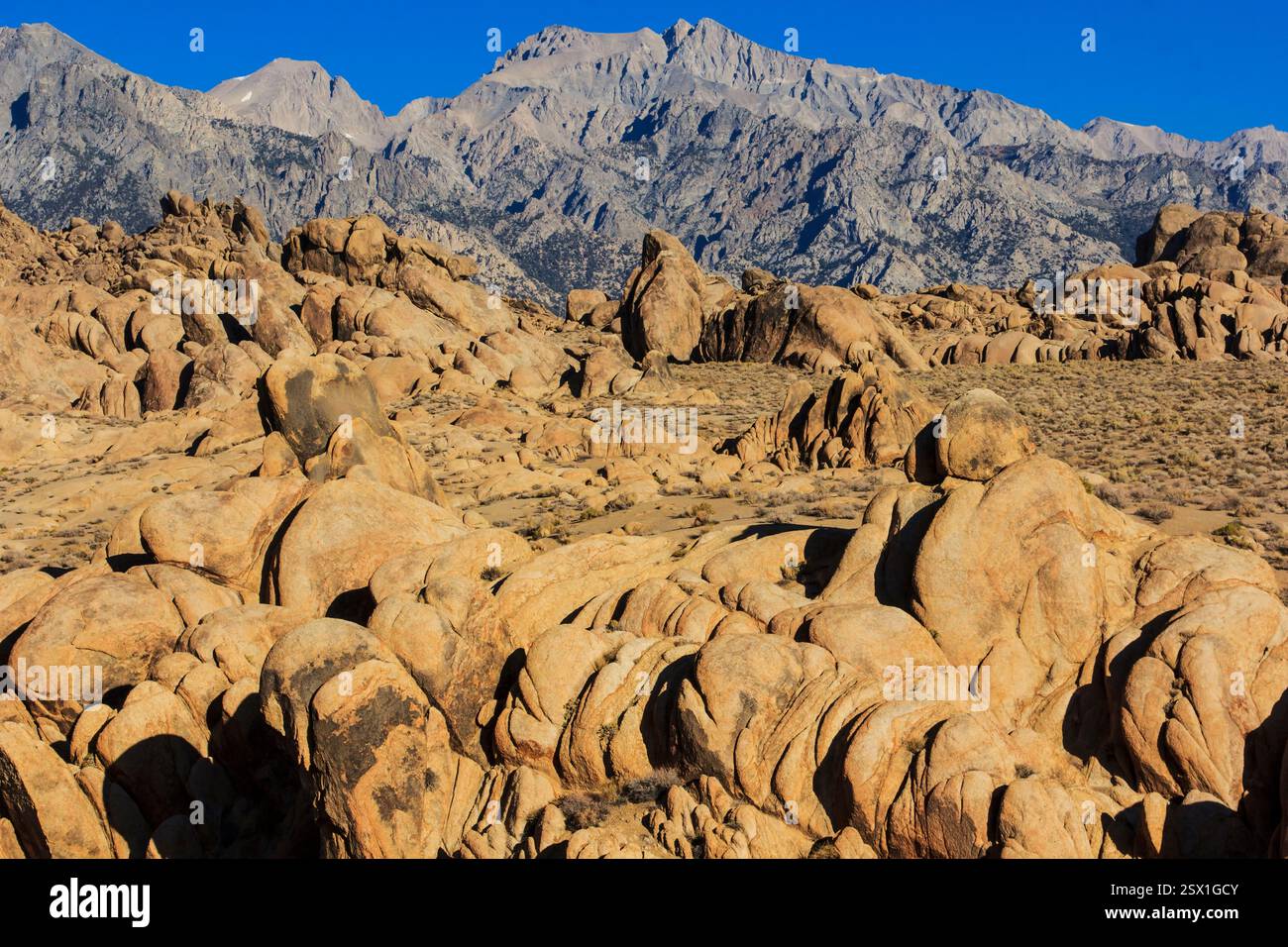 Paysage désertique rocheux avec une montagne en arrière-plan. Les roches sont grandes et dispersées dans toute la région Banque D'Images