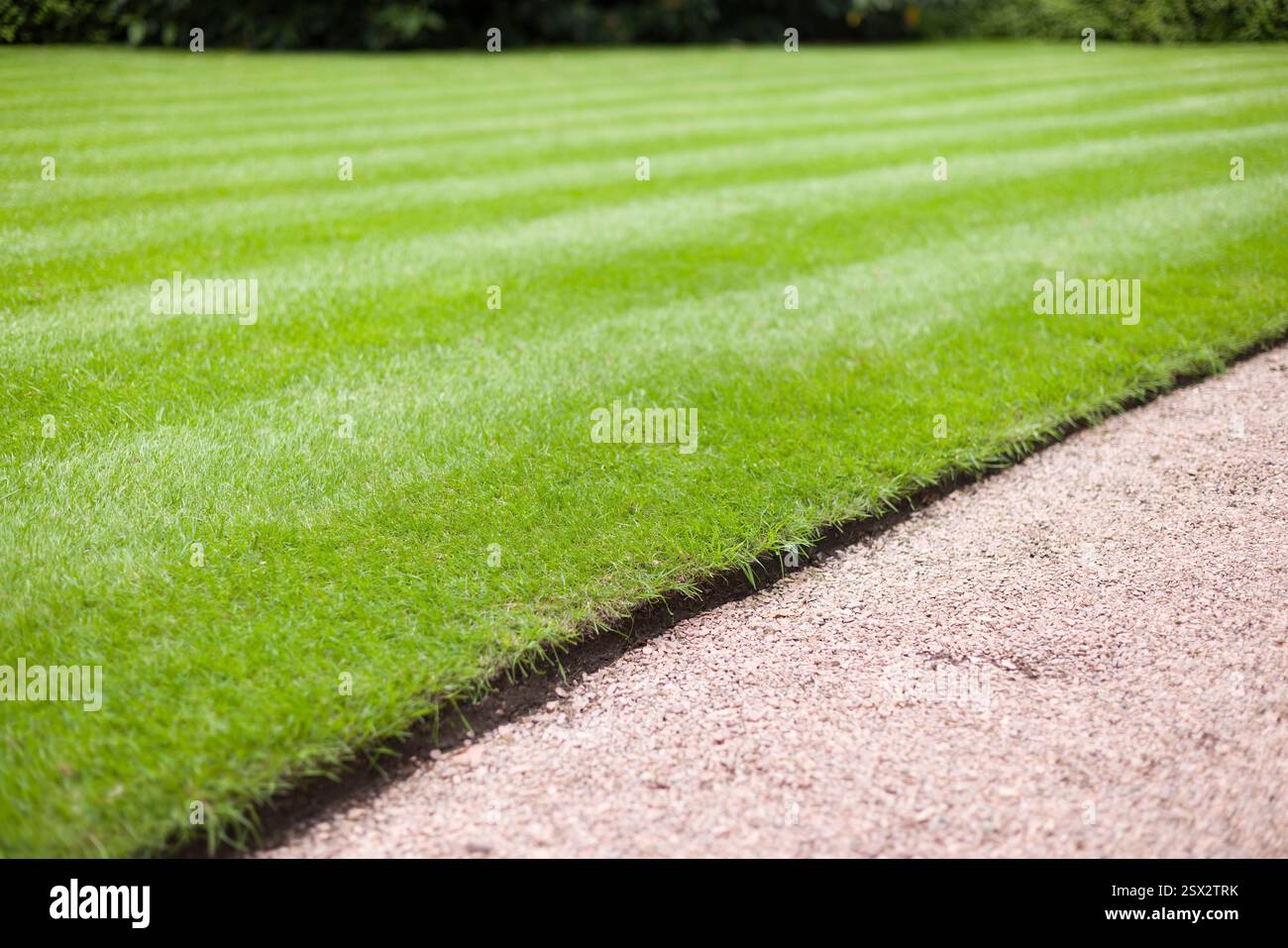 Belle pelouse bien entretenue et chemin de jardin dans un parc ou un jardin britannique Banque D'Images