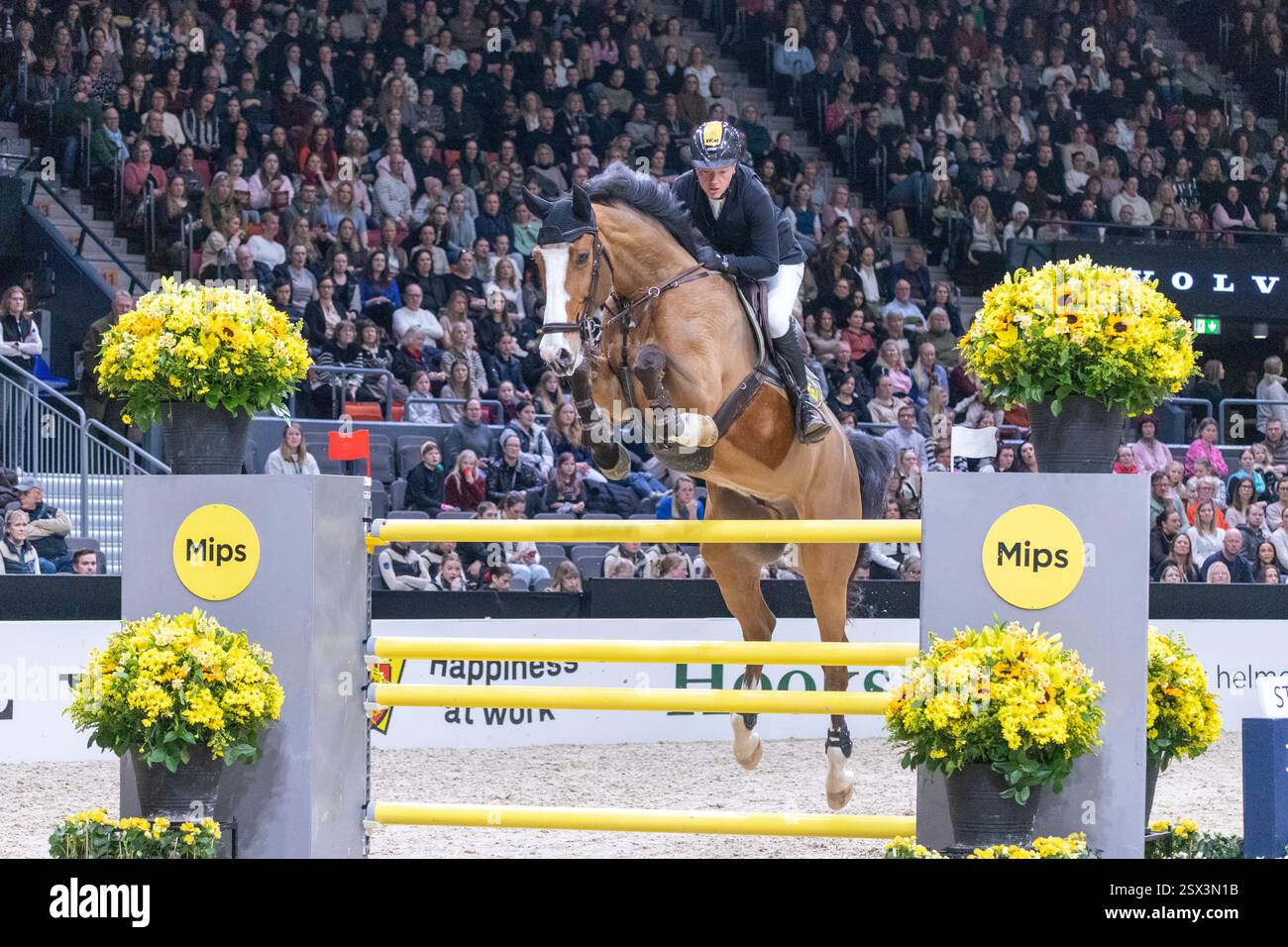 Gothenburg, Suède. 22 février 2025. Philipp Schulze Topphoff pour l'Allemagne avec ses Vivantas lors du Trophée Gothenburg. Crédit : Per Ljung/Alamy Live News Banque D'Images